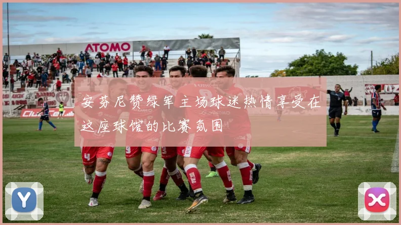 安芬尼赞绿军主场球迷热情享受在这座球馆的比赛氛围