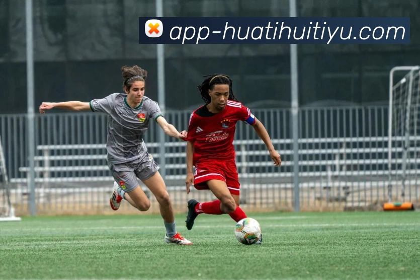 华体会体育平台生态图