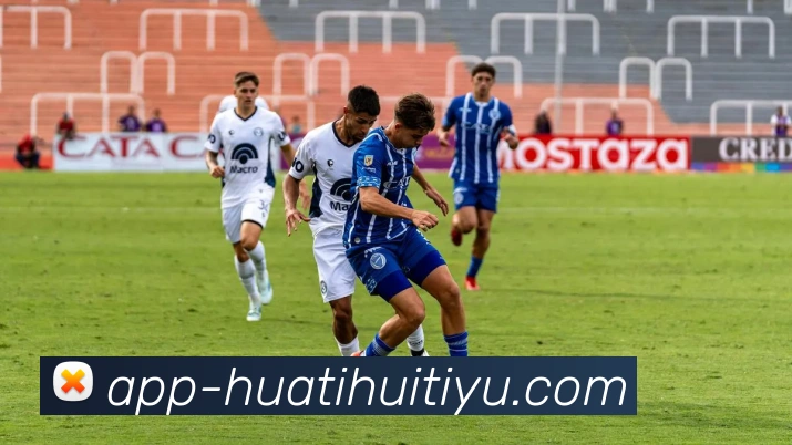 华体会体育全站App