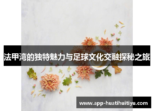 法甲湾的独特魅力与足球文化交融探秘之旅
